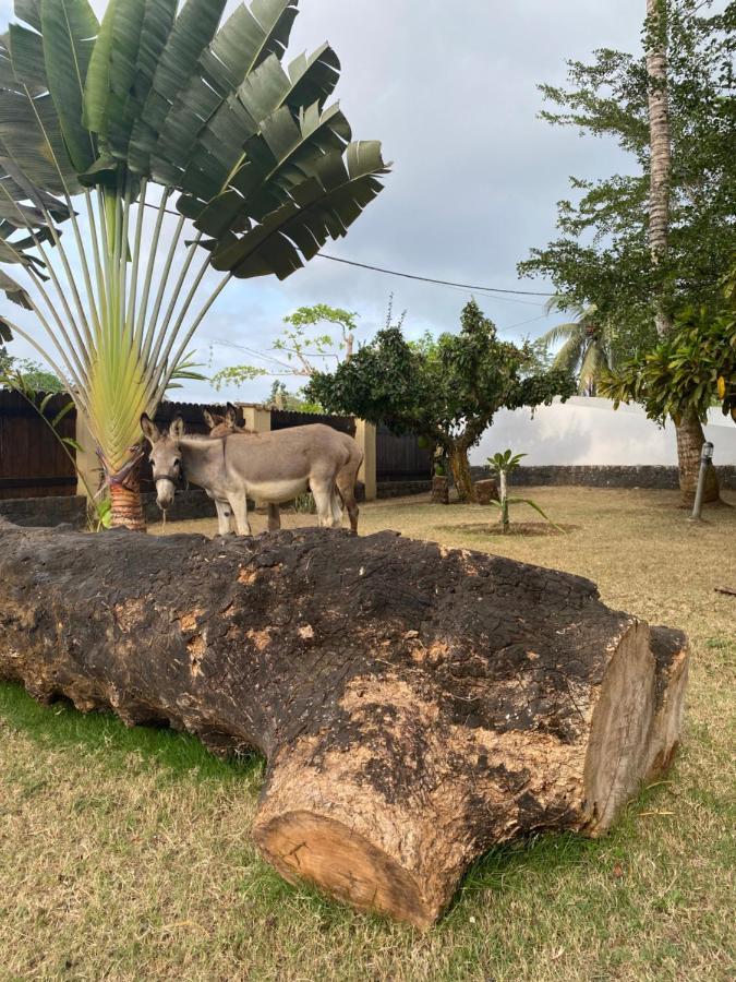 Roca Vale Dos Prazeres Villa Sao Tome Eksteriør bilde